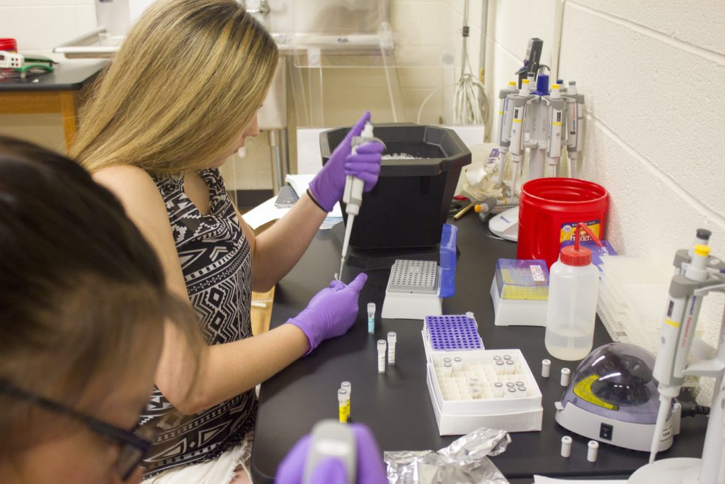 Students working in a laboratory.