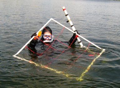 A student collecting samples while in scuba gear.