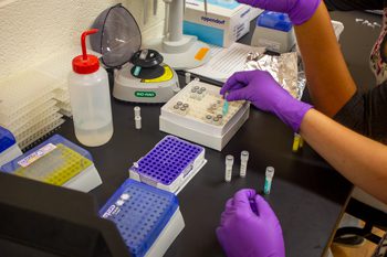 People working in a research lab.